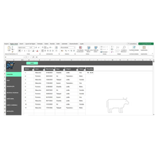 Planilha Controle de Gado Corte e Engorda em Excel