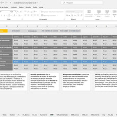 Planilha Controle Financeiro Centro Custos Fluxo Caixa Gestão Empresarial - Radali Shop